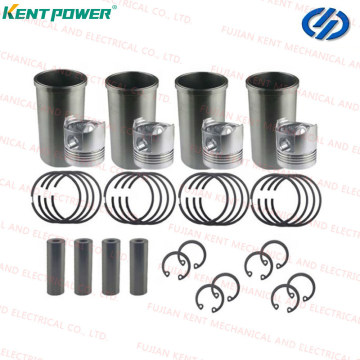 Yangdong Engine Spare Part Crankshaft 08010250 Y4100d Y4102D Y4102zd Y4102zld Y4105zld Yd4ezld Y4110zld